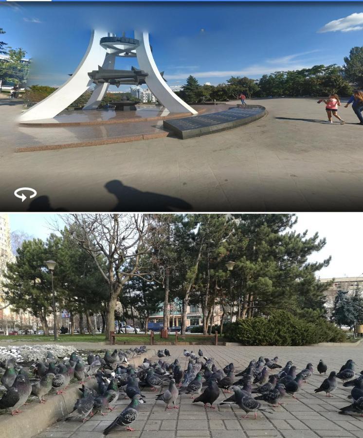 Afganskii Park Apartment Kişinev Dış mekan fotoğraf