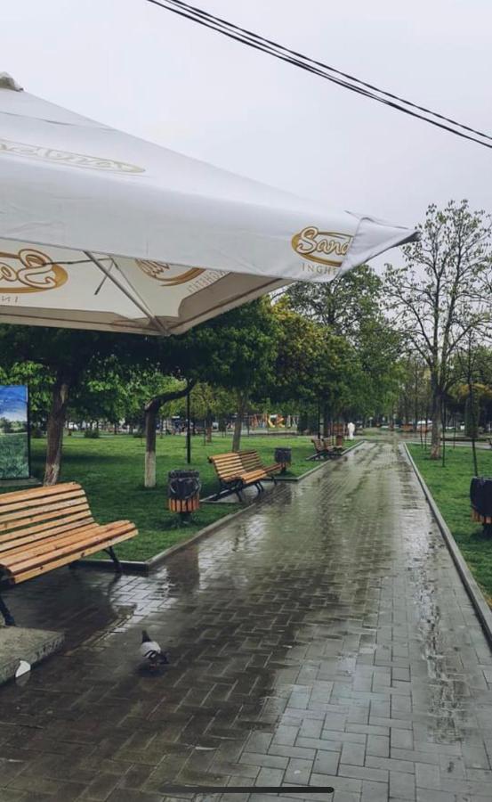 Afganskii Park Apartment Kişinev Dış mekan fotoğraf
